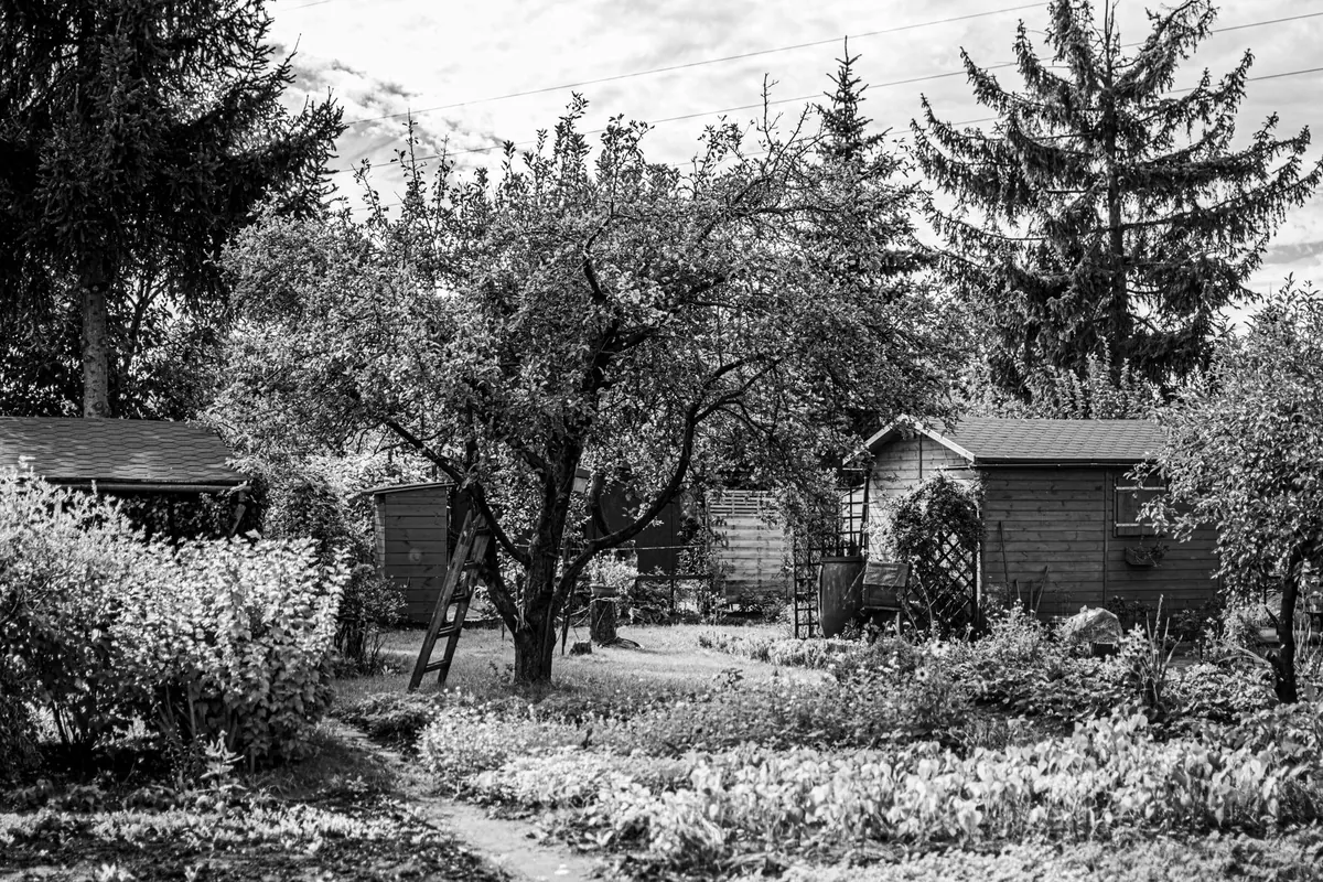 How to Start a Rural Tool-Sharing Circle in Your Neighborhood